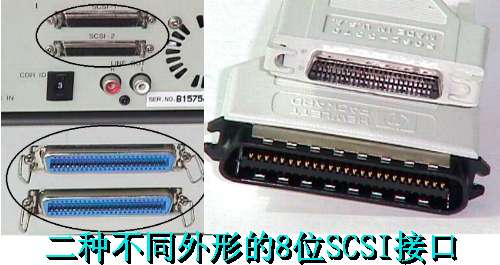 scsi-2.jpg (26803 字节)