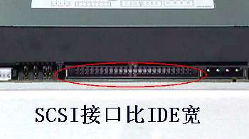 scsi-5.jpg (9923 字节)