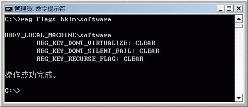 图 5 Reg 实用工具显示虚拟化标志