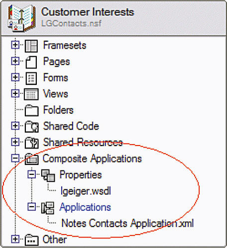 Composite Applications 元素是 IBM Lotus Domino Designer V8 中的新元素